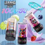Bang Leader Stoll 100K 100000 Puffs 4 in 1 Flavors & Quad Mesh Coil LED Display Disposable Vape
