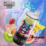 Bang Leader Stoll 100K 100000 Puffs 4 in 1 Flavors & Quad Mesh Coil LED Display Disposable Vape