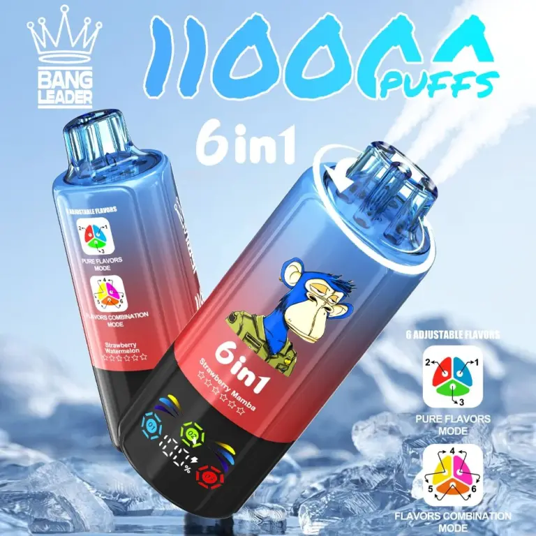 Bang Leader 110000 110K Puffs 6 in 1 Flavors Newest Original Rechargeable LED Display Disposable Vape