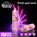 Bang SHISHA 15000 Puffs Direct To Lung Disposable Electronic Cigarette New Vape Pen